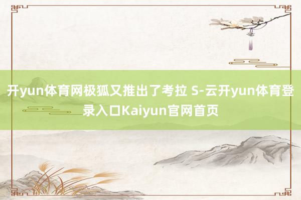 开yun体育网极狐又推出了考拉 S-云开yun体育登录入口Kaiyun官网首页