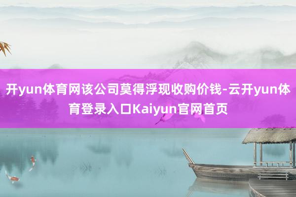 开yun体育网该公司莫得浮现收购价钱-云开yun体育登录入口Kaiyun官网首页